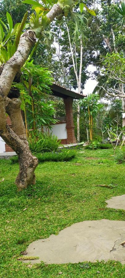 Tangkas House Apartment Tampaksiring Exterior photo